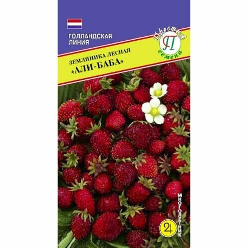 ���� ��������� ������ ���-����. ������. �����������. ��������� ����. ����� �������, ������ 5 ��. ������ �������-�����, �����-�������, ������ �� 119 ���