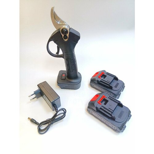 ���� �������������� ��������, ��������, �������, ������������� �������, ��� ������������, ������ �� 3241 ���