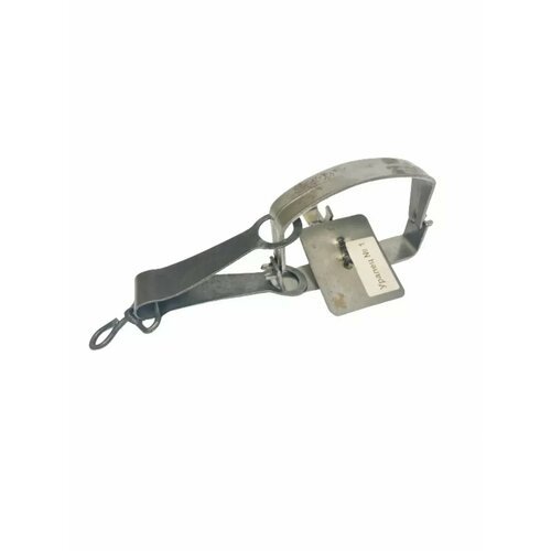 ���� ������ 