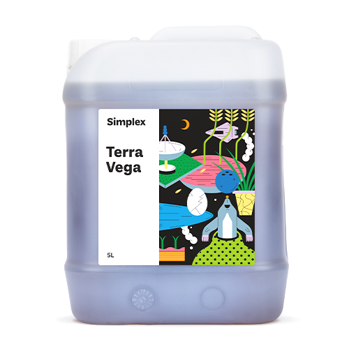   Simplex Terra Vega ( ) 5 .    -     , -, 