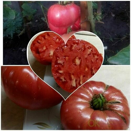 ���� ������������� ������ ������ ����������� ������� �������, ������ �� 101 ���