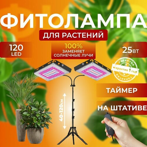 ���� ��������� ��� ����������� �������� ������� ������ ������, �������������� ������������ �� ������������ �������, ����� 2 ���������� ��� ������, �������������� ������, ������, ������ �� 3900 ���