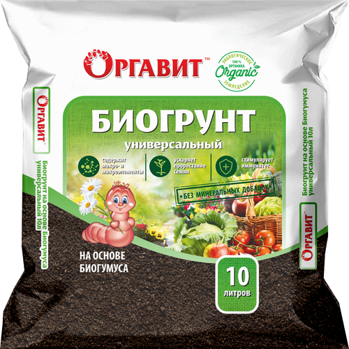 ���� ����� �� ������ ��������� ������� �������������, 10 �, ������ �� 169 ���