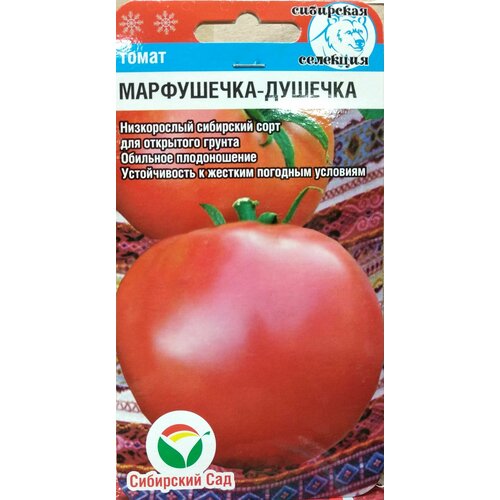 ���� ����� ����������-������� (��������� ���), ����������� ��� ��������� ������ � �������� �������������, �������� � ������� �������� ��������, 20 �����, ������ �� 110 ���