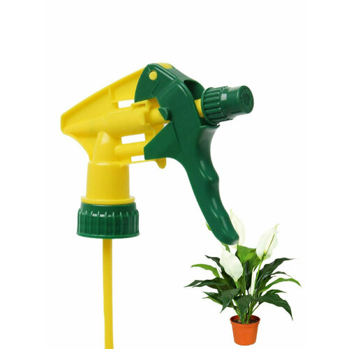 ���� ����������� - ������� �� ������� / ���������/ ������������� ��� ������ (1��), ������ �� 250 ���