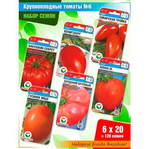 ���� ����� ����� ������� 