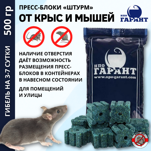 ���� ����� �������� ��� �������� �����-����� 500�, ������ �� 360 ���