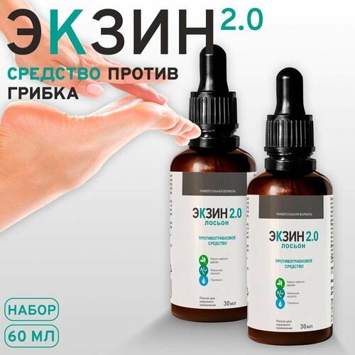 ���� ����� 2.0 ������ ����� �� ������ ������, 30 �� � 2��, ������ �� 730 ���