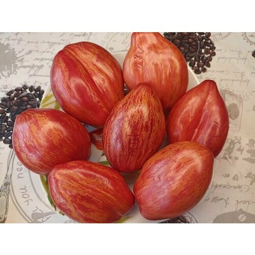 ���� ������������� ������ ������ ���� ���� �������, ������ �� 102 ���