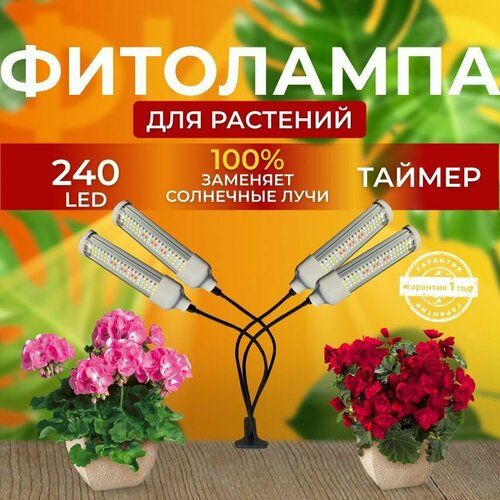 ���� ��������� ��� ����������� �������� ������� ������ ������ �������������� ������������ ��� ������ �� ������ ������� � ��������� � ��������, 4 �����, ������ �� 3000 ���