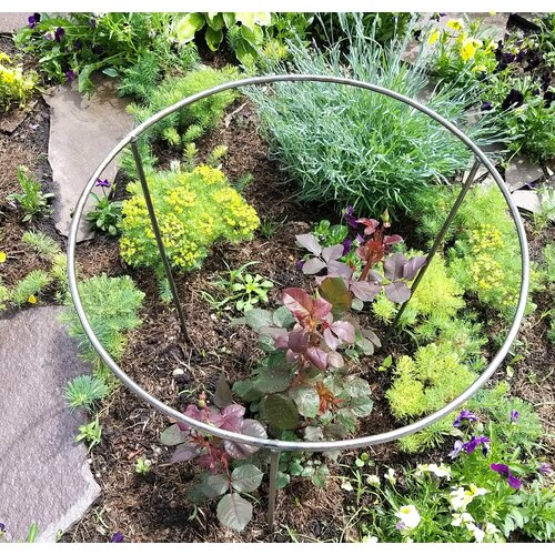 ���� ������� ��� �������� ��� ������� ��� ��������� ����� ��� ������ ������������� ������ 50�� ������ 60 ��, ������ �� 1799 ���