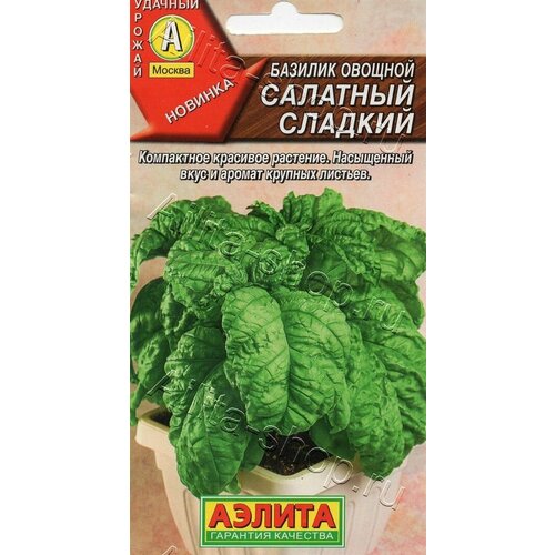 ���� ������ �������� ������ 