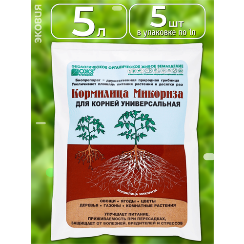 ���� ��������� ��� ������ ������������� ��������� ��������, 5 ��, ������ �� 864 ���