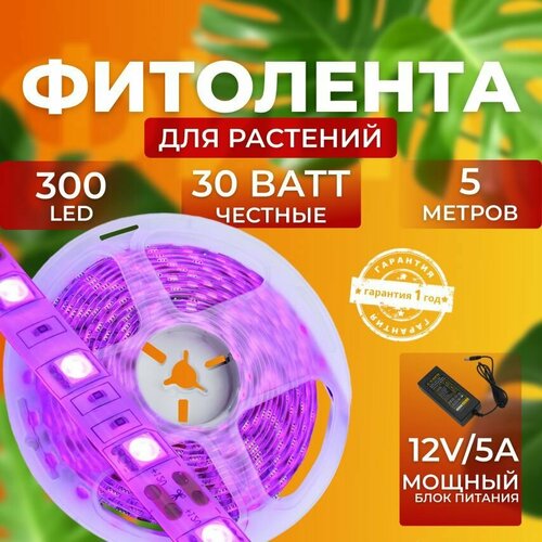 ���� ��������� ��� ����������� �������� ������� ������ ������ ��������� �������� ���������� ������������ ����� ��� ������ 300 LED, 30 ���� 5 ������, ������ �� 2400 ���