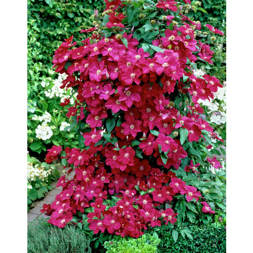 ���� ������ �������� ��������������� ������ ������ 0,05 � (1 ��������), ������ �� 479 ���