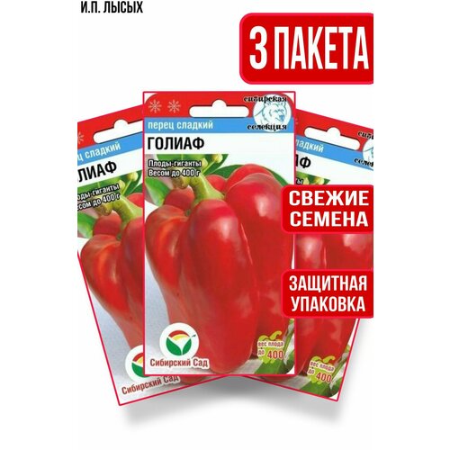 ���� ������ ����� ������ 15��, ������ �� 280 ���