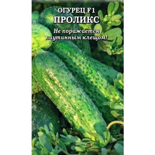 ���� ������������� ������ ������ ������� F1, ������ �� 122 ���