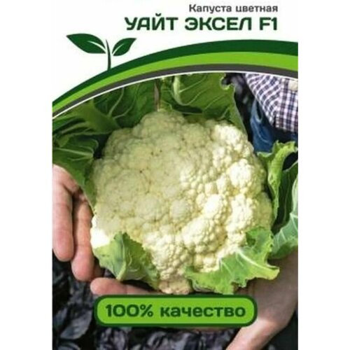 ���� ������������� ������ ������� ������� ���� ����� F1, ������ �� 122 ���