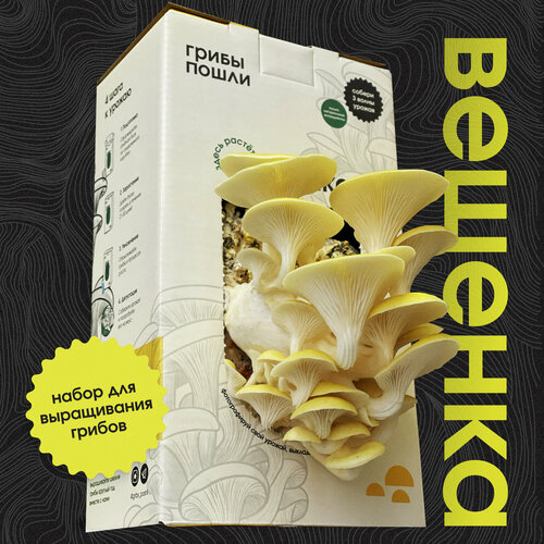 ���� ����� ��� ����������� ������. ������� ��������, ������ �� 699 ���