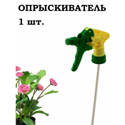 ���� ������������� - ������������� ������� 1 ��., ������ �� 215 ���