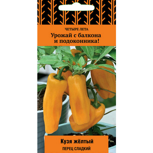 ���� ������ ����� ���� ����� 5�� (�����) ������ ����, ������ �� 64 ���