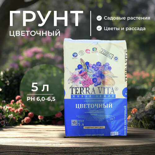 ���� ������������� ��������� ����� ��� ��������� �������� � ������� 5 �, ����������� ���������� ����� ����� ��� ������, ������ �� 484 ���