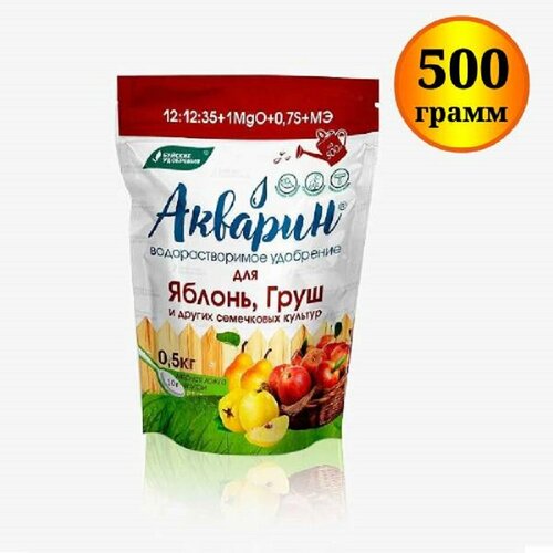 ���� ��������� ������� 