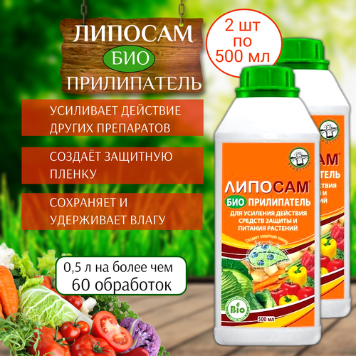 ���� ��������� ����������� ������� 500 ��, 2 ��, ������ �� 1825 ���