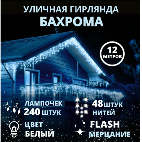 ���� �������� �� ��� 12 ������, ������� ������ �����, ������� ��������� �������, ������ �� 1790 ���