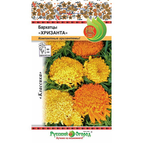 ���� �������� �������� ��. � 40 ����� ��, ������ �� 200 ���