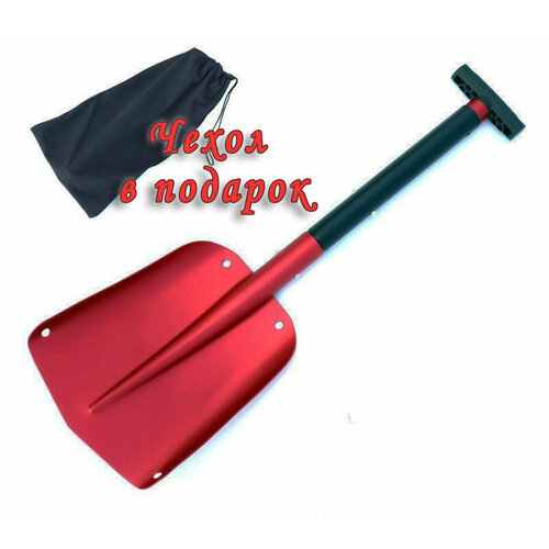 ���� ������ �������� �������������, ������ �� 2000 ���