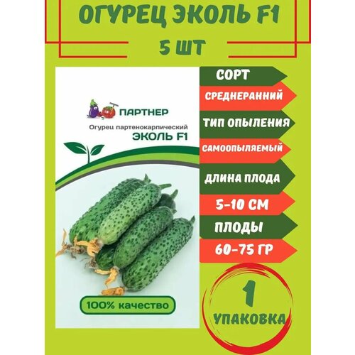 ���� ������ ������ ����� F1, 5 ����� 1 ��������, ������ �� 325 ���