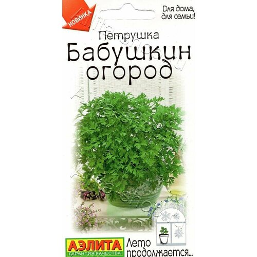 ���� ������ �������� ��������� ������ 