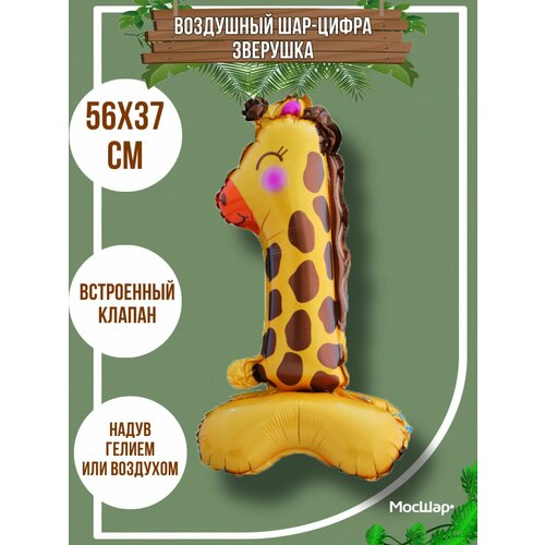 ���� ��������� �������������� ��� ����� 1 ����, ������ ������� �� �����, ������ �� 169 ���