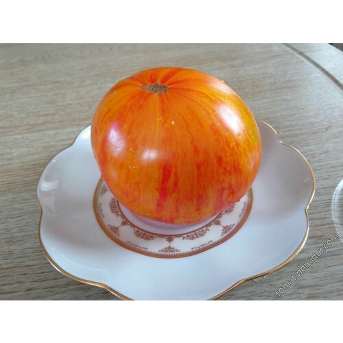 ���� ������������� ������ ������ ������� ��������� ���������, ������ �� 101 ���