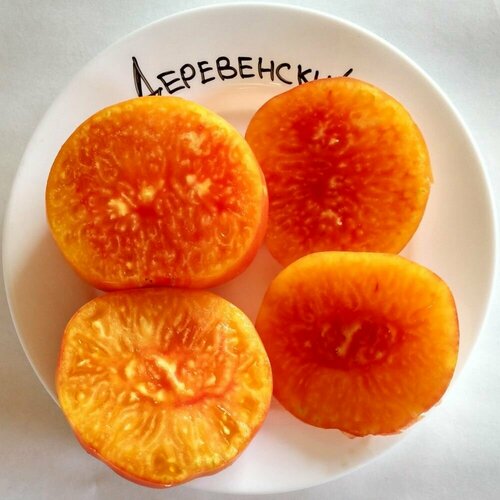 ���� ������������� ������ ������ �����������, ������ �� 102 ���