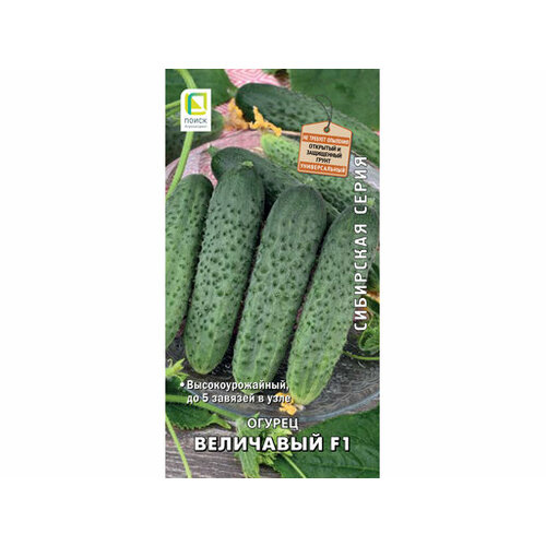 ���� ������ ��������� 12�� 831786, ������ �� 211 ���