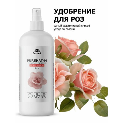 ���� ��������� ��� ��� ����� ��� ��������� � ������� ���, ��� ������ 500 �� ������, ������ �� 667 ���