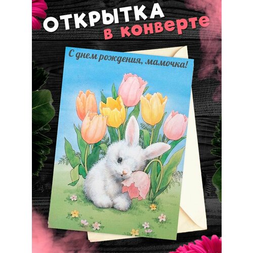 ���� �������� �6 � �������� � ���� ��������, ����!, ������ �� 268 ���