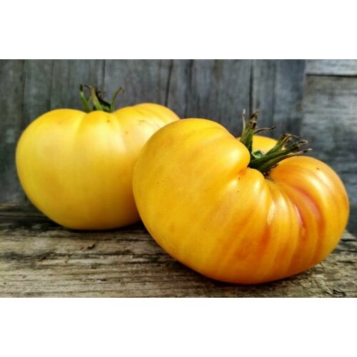 ���� ������������� ������ ������ ������� ������ �����, ������ �� 101 ���