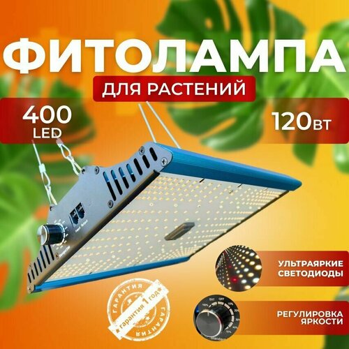 ���� ��������� ��� ����������� �������� ������� ������ ������, ���������������� �������������� ������������ Quantum board, ����� ��������� ��� ������, � �������� 120 ����, ������, ������ �� 10350 ���