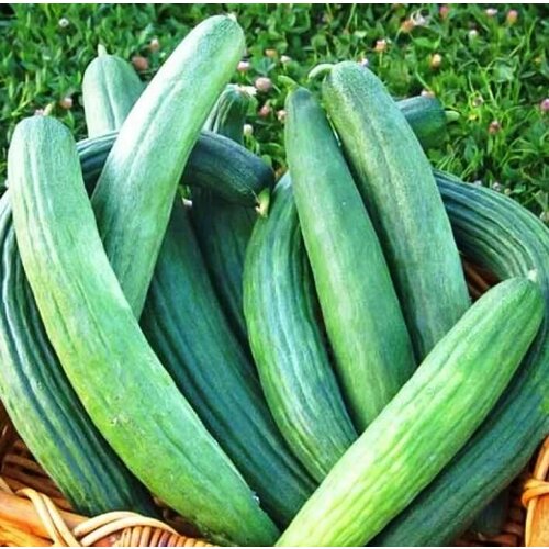 ���� ������������� ������ ���� ��������� ������ 