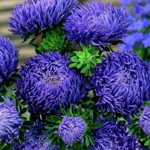    -,    ,     , 30 ,   261 