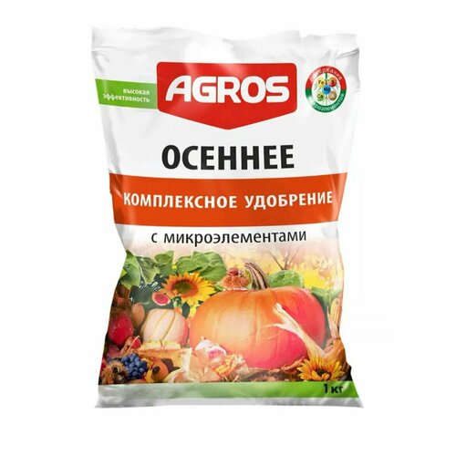 ���� ��������� 