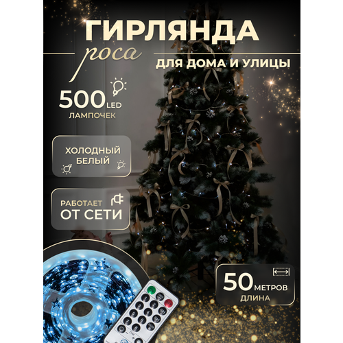 ���� �������� 