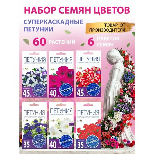 ���� ������ ������ ������� ����� 6 ��, ������ �� 515 ���