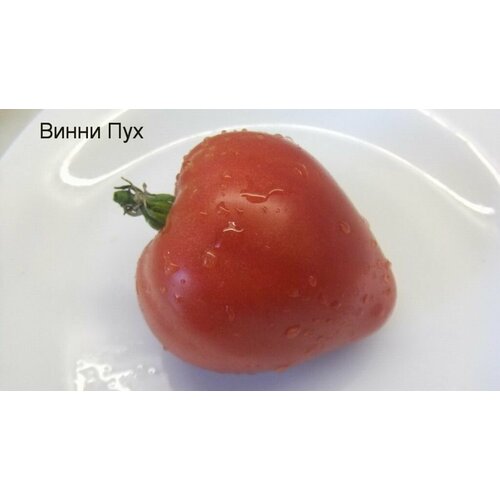 ���� ������������� ������ ������ ����� ���, ������ �� 102 ���