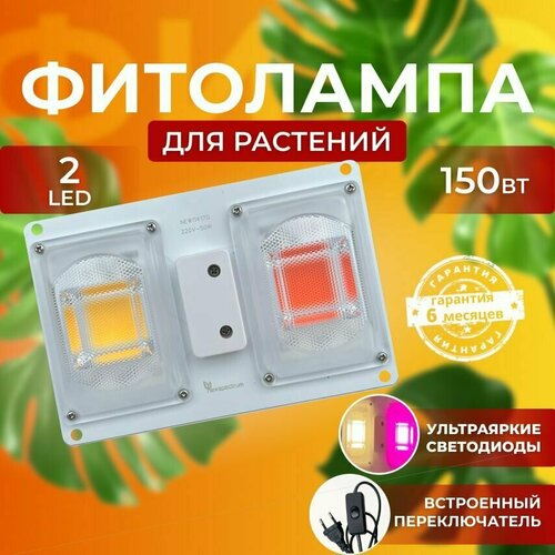 ���� ��������� ��� ����������� �������� ������� ������ ������ �������������� ������������, ����� ��������� ��� ������ � ��������, ������ �� 1650 ���