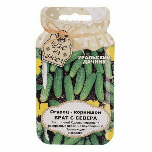 ���� ������ ������ 