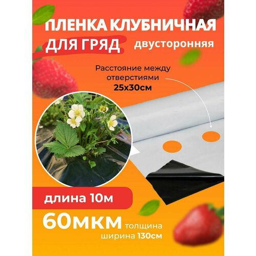 ���� ����� ��� �������� ������������ �����-����� 60���, ������ �� 799 ���